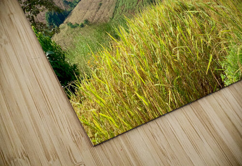 Amazing Landscape 3 Jimmy Roy Photos puzzle