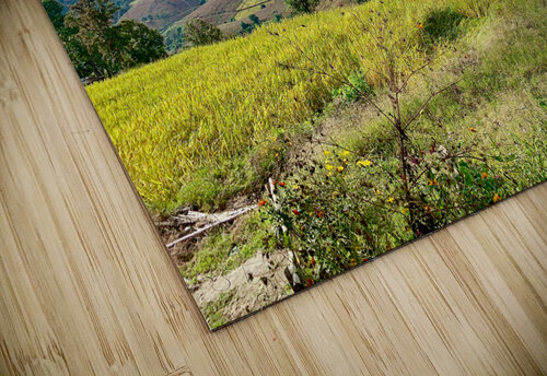 Amazing Landscape 2 Jimmy Roy Photos puzzle