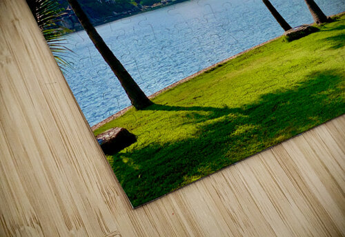 Lay Down on the Grass and Enjoy Jimmy Roy Photos puzzle