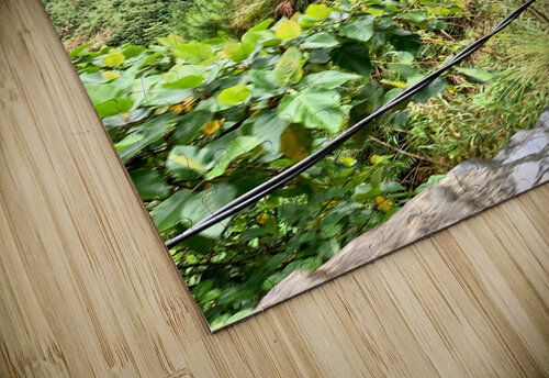 Living in the Mountains Jimmy Roy Photos puzzle