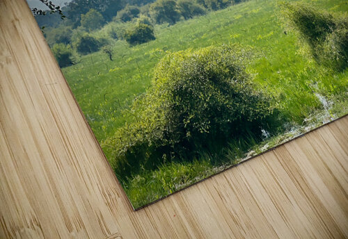 Yala National Park Sri Lanka 4 Jimmy Roy Photos puzzle