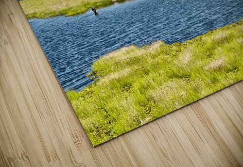 Yala National Park Sri Lanka Jimmy Roy Photos puzzle