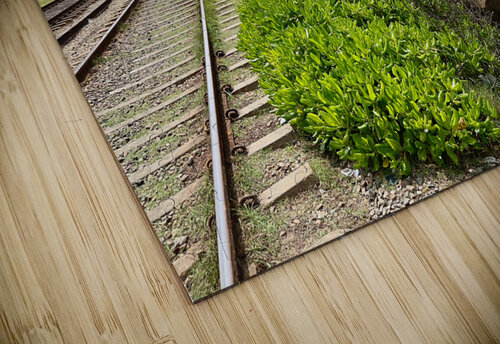Railroad by the Ocean Jimmy Roy Photos puzzle