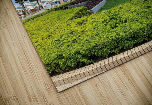 Amazing Beach Front Vietnam Jimmy Roy Photos puzzle