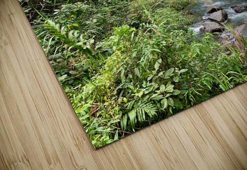 Banaue Waterfall Philippines 1 Jimmy Roy Photos puzzle