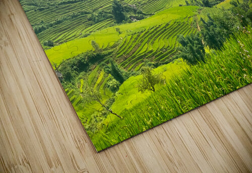 Rice Fields in Sapa 1 Jimmy Roy Photos puzzle