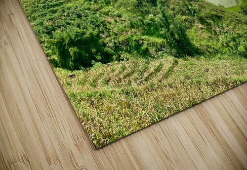 Rice Fields in Sapa 4 Jimmy Roy Photos puzzle