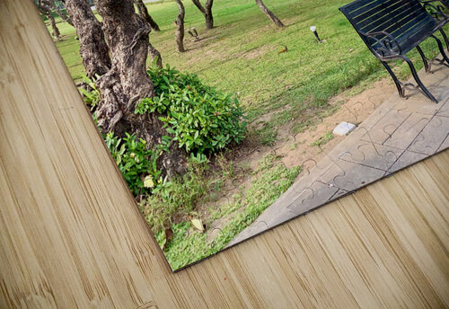 Fort Santiago Manila 3 Jimmy Roy Photos puzzle