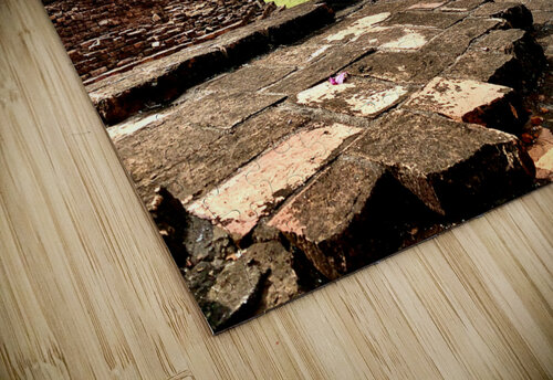 Ayutthaya Historical Park Temples 9 Jimmy Roy Photos puzzle