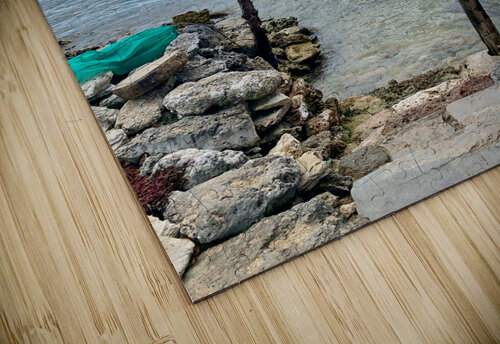 Walk down to the Ocean Jimmy Roy Photos puzzle