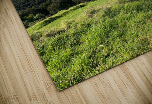 Viewpoint in Rangikapiti Pa Historic Reserve New Jimmy Roy Photos puzzle