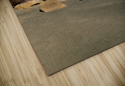 Tree Growing Right Jimmy Roy Photos puzzle