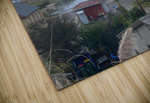 Rotorua City New Zealand Jimmy Roy Photos puzzle