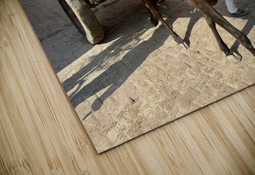 Special Delivery Jimmy Roy Photos puzzle