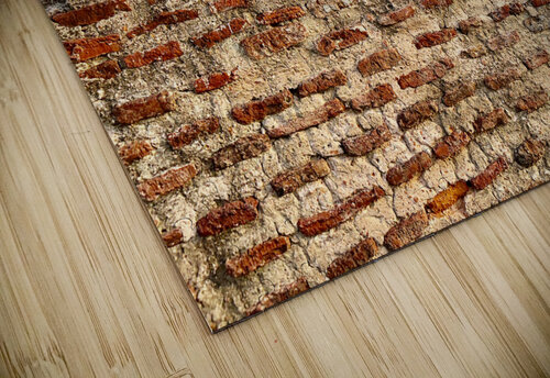 The Taj Mahal Collection 10 Jimmy Roy Photos puzzle