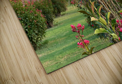 The Taj Mahal Collection 1 Jimmy Roy Photos puzzle