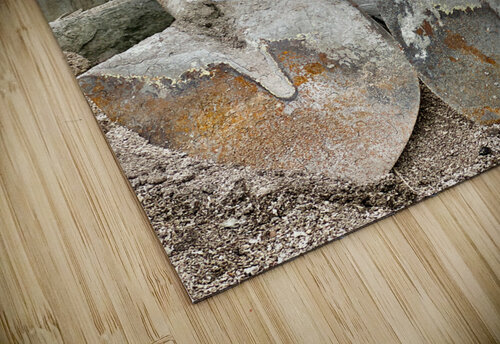 Maboul Island 6 Jimmy Roy Photos puzzle