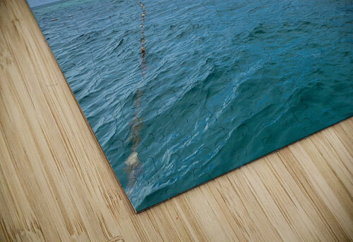 Maboul Island 18 Jimmy Roy Photos puzzle