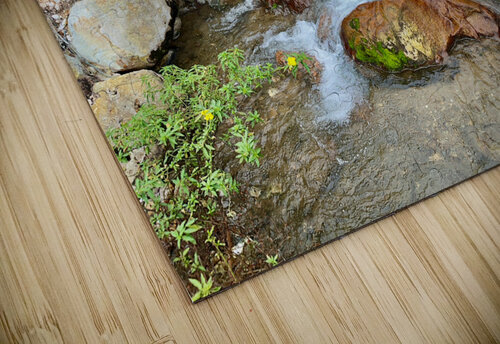 Cibuni Rengganis Crater Java Indonesia 2 Jimmy Roy Photos puzzle