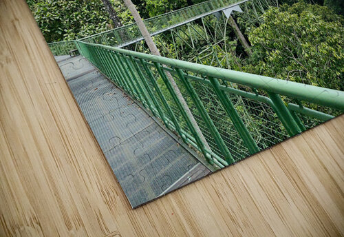 Kabili Sepilok Forest Reserve 2 Jimmy Roy Photos puzzle