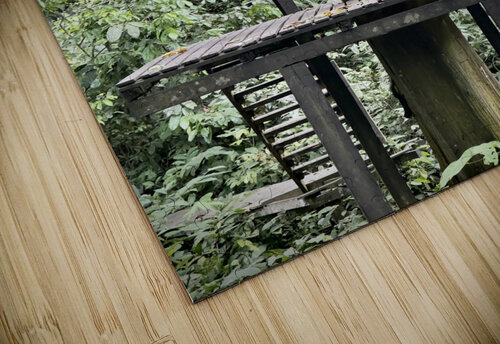 Kabili Sepilok Forest Reserve Orangutans 2 Jimmy Roy Photos puzzle