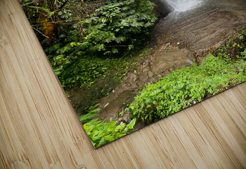 Munduk Waterfalls Bali 2 Jimmy Roy Photos puzzle