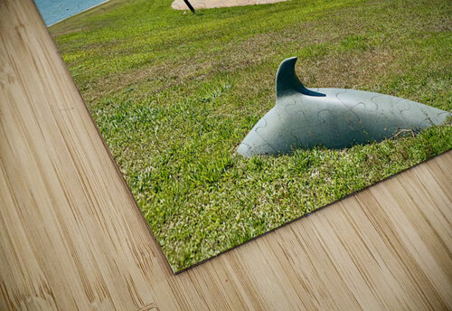 The Empire Brunei 8 Jimmy Roy Photos puzzle