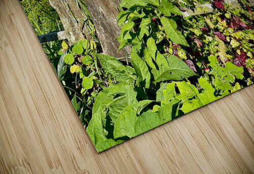 Viewpoint Munduk Bali Jimmy Roy Photos puzzle