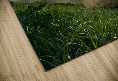 Beautiful Sunrise Jeju South Korea 2 Jimmy Roy Photos puzzle