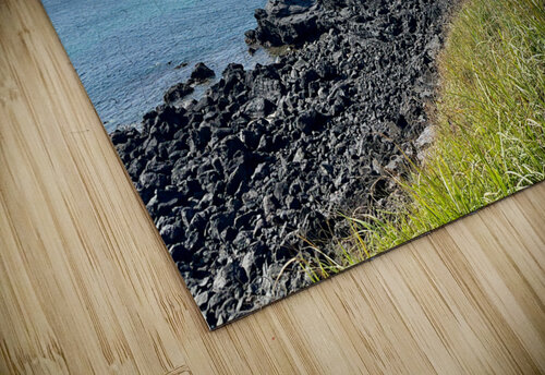 The Gazebo Jeju South Korea Jimmy Roy Photos puzzle