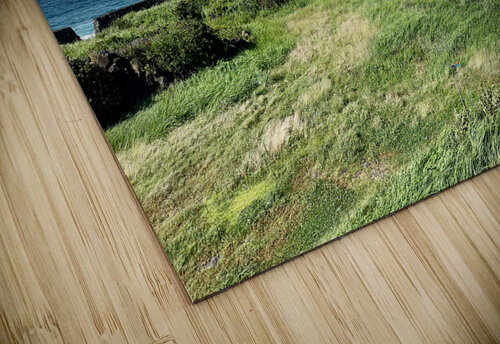 The Calm Jeju South Korea Jimmy Roy Photos puzzle