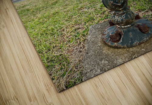 The light bulb Udo South Korea Jimmy Roy Photos puzzle