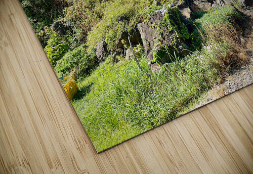 The Little Fort Jeju South Korea Jimmy Roy Photos puzzle