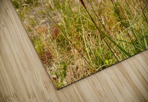 Stone Park Jeju South Korea 10 Jimmy Roy Photos puzzle