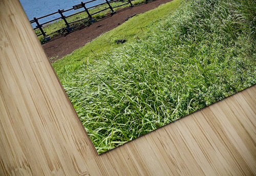 Seopjikoji Jeju South Korea 4 Jimmy Roy Photos puzzle