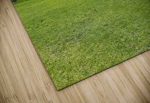 Seopjikoji Jeju South Korea 1 Jimmy Roy Photos puzzle