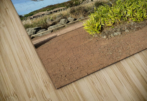 Stone Park Jeju South Korea 5 Jimmy Roy Photos puzzle