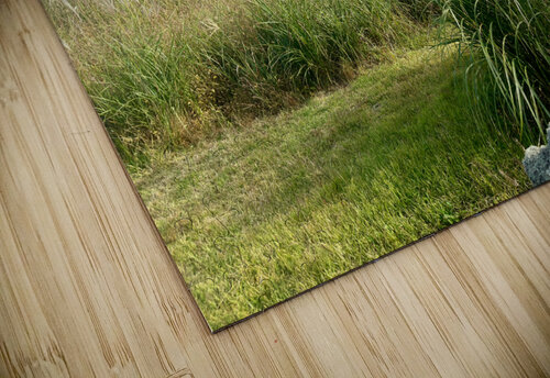 Stone Park Jeju South Korea 2 Jimmy Roy Photos puzzle