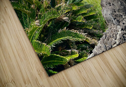 Seopjikoji Jeju South Korea 6 Jimmy Roy Photos puzzle