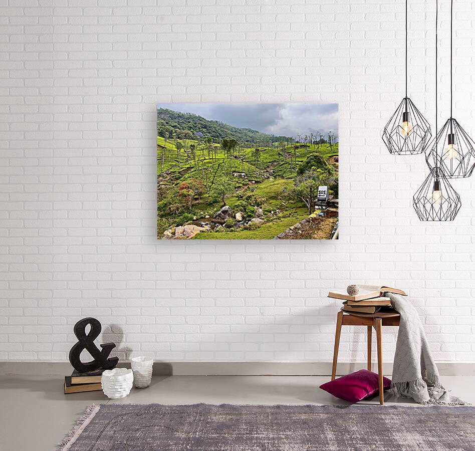 101 Tea Plantations Reproduction