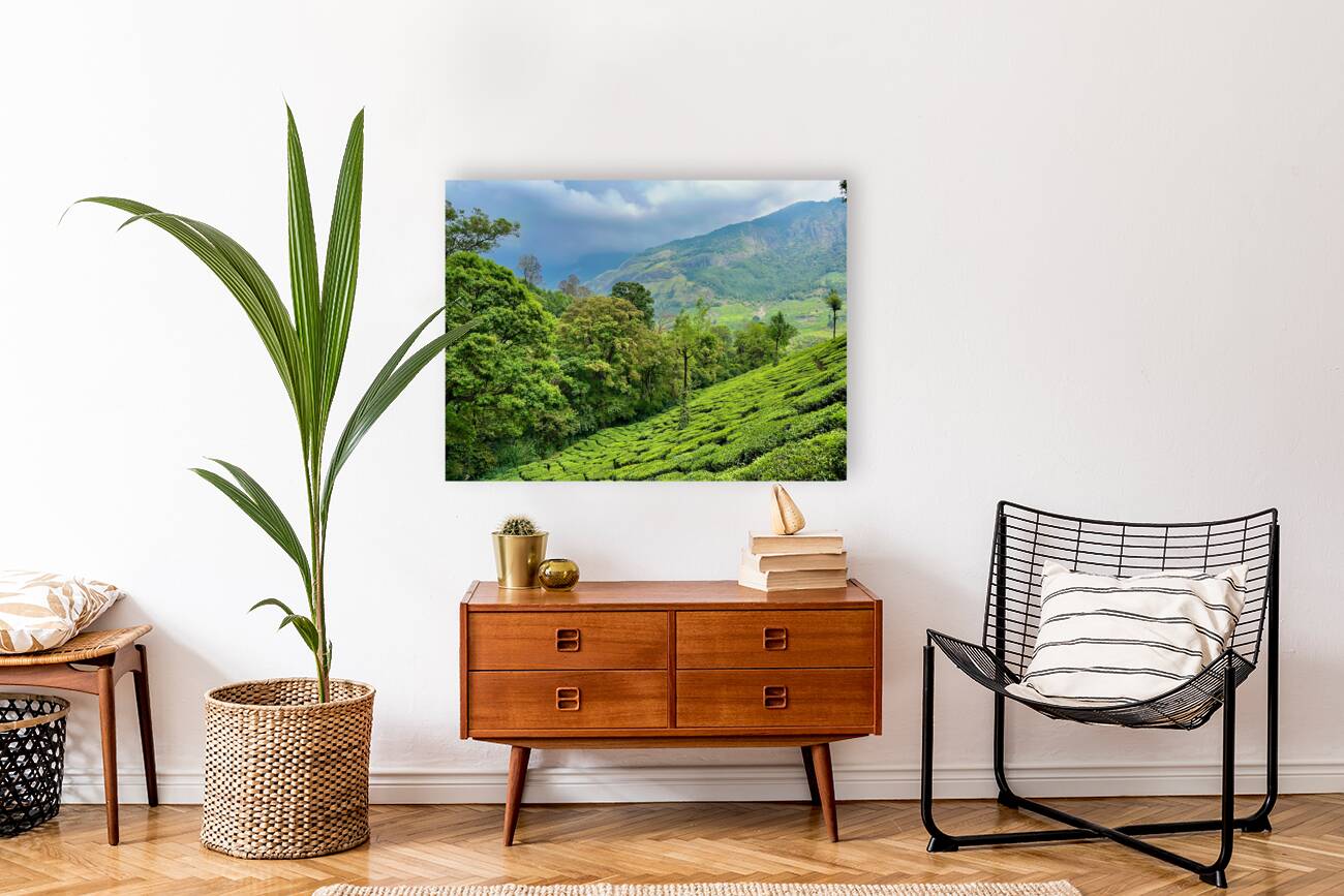 Tea Plantations 1 Reproduction