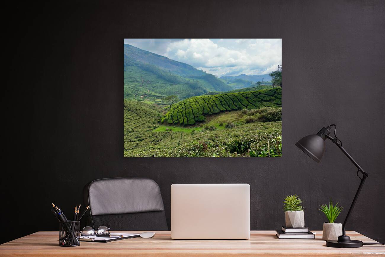 Tea Plantations 4 Reproduction