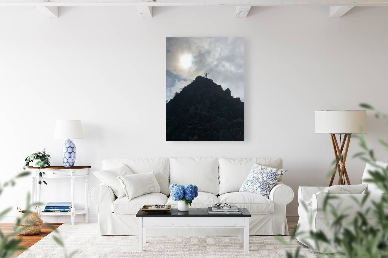 King of the Hill Reproduction