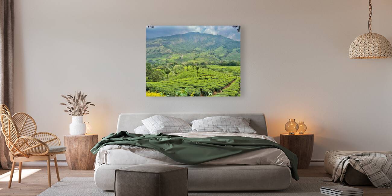 Tea Plantations 3 Reproduction