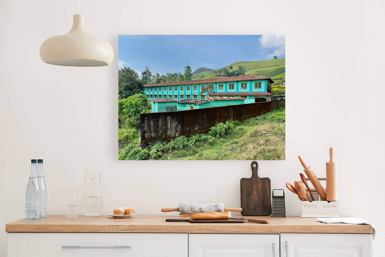 Living in the Tea Plantation Reproduction