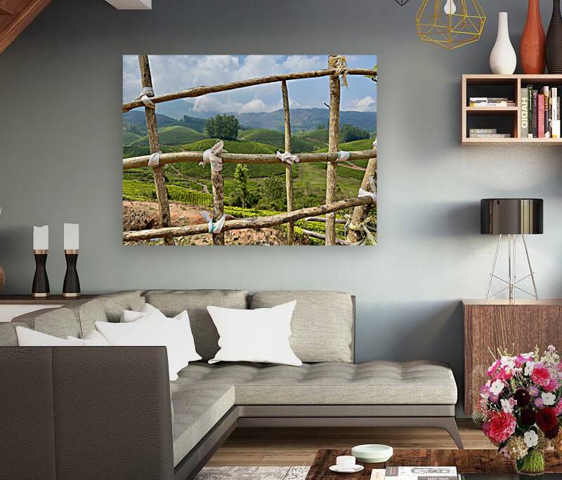 Peak a Tree Reproduction