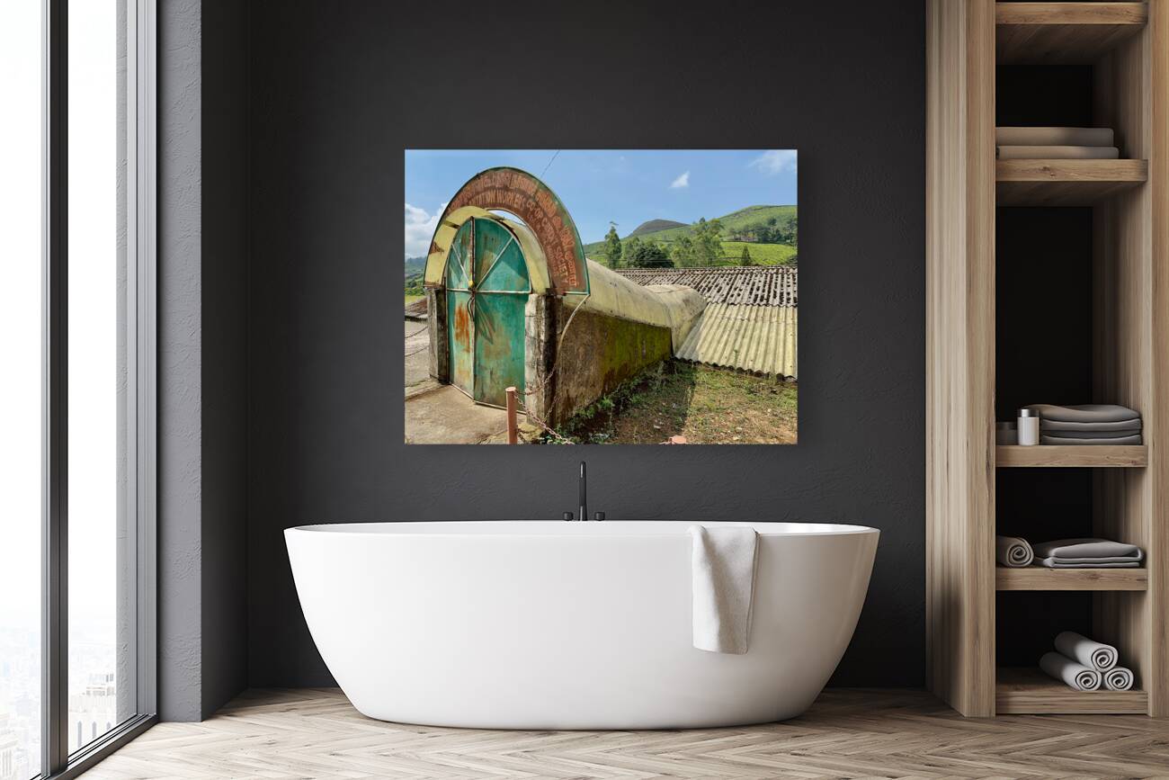 Come in Reproduction