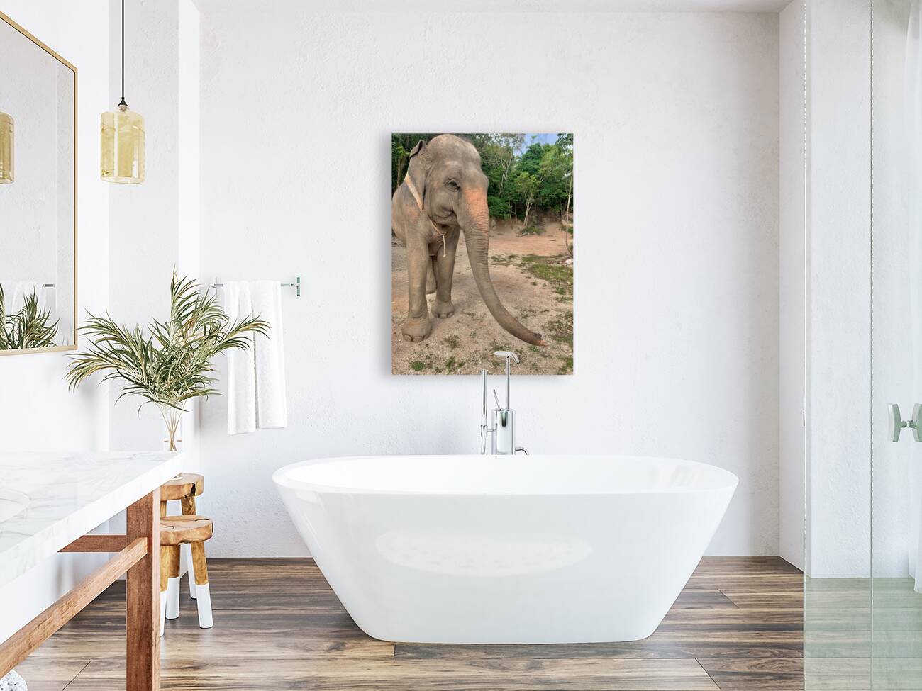 Elephant Trunk Sideways Reproduction