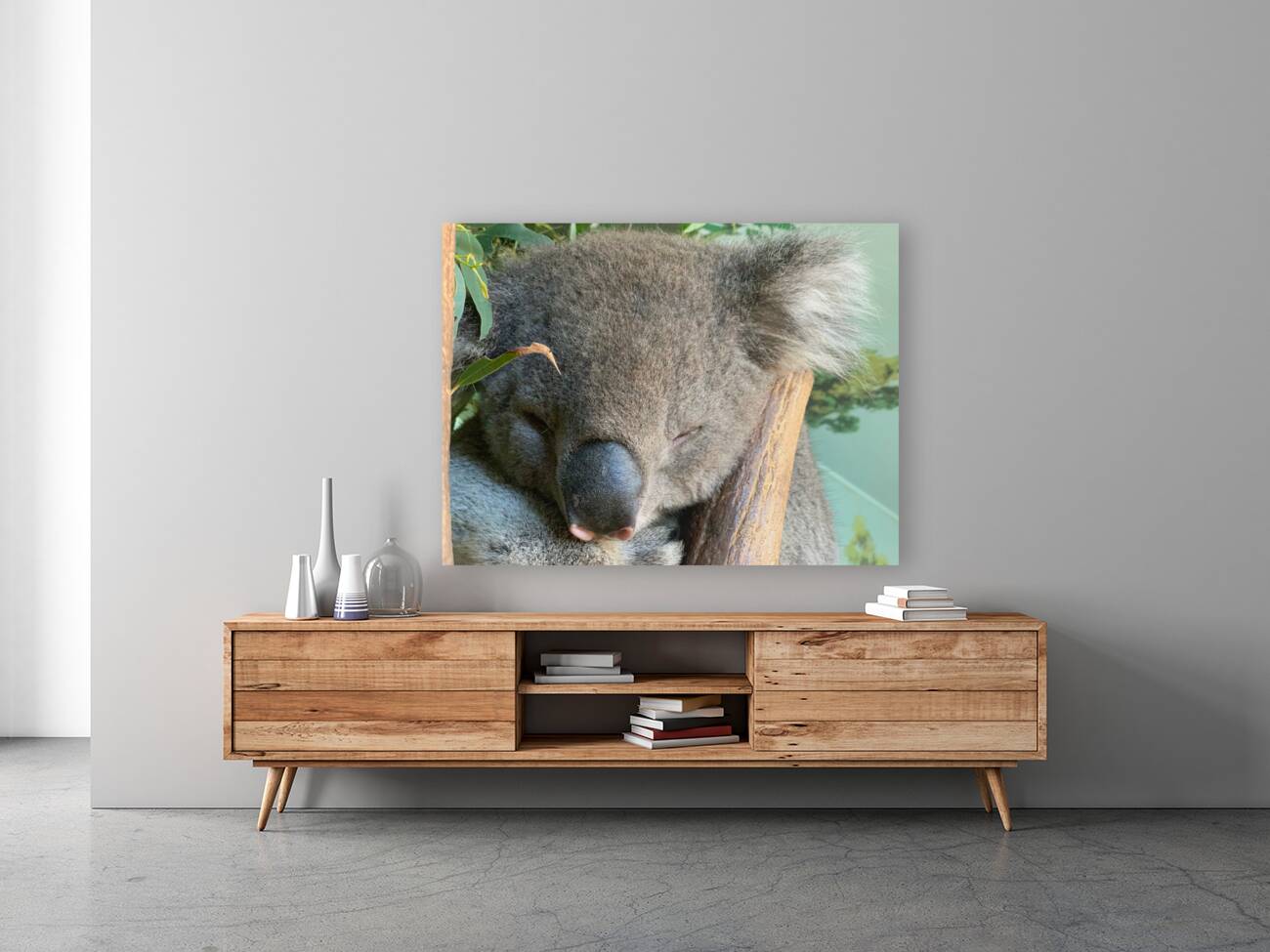 Sleep Well Koala Reproduction