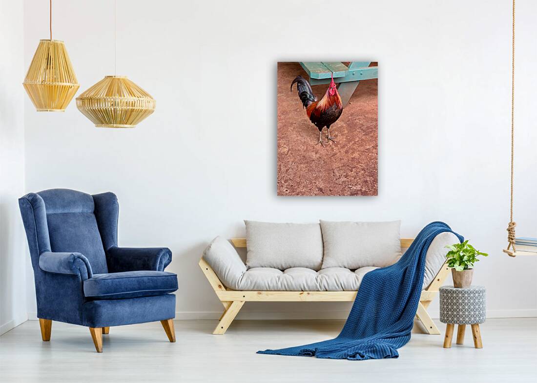 Rooster by the Table Reproduction